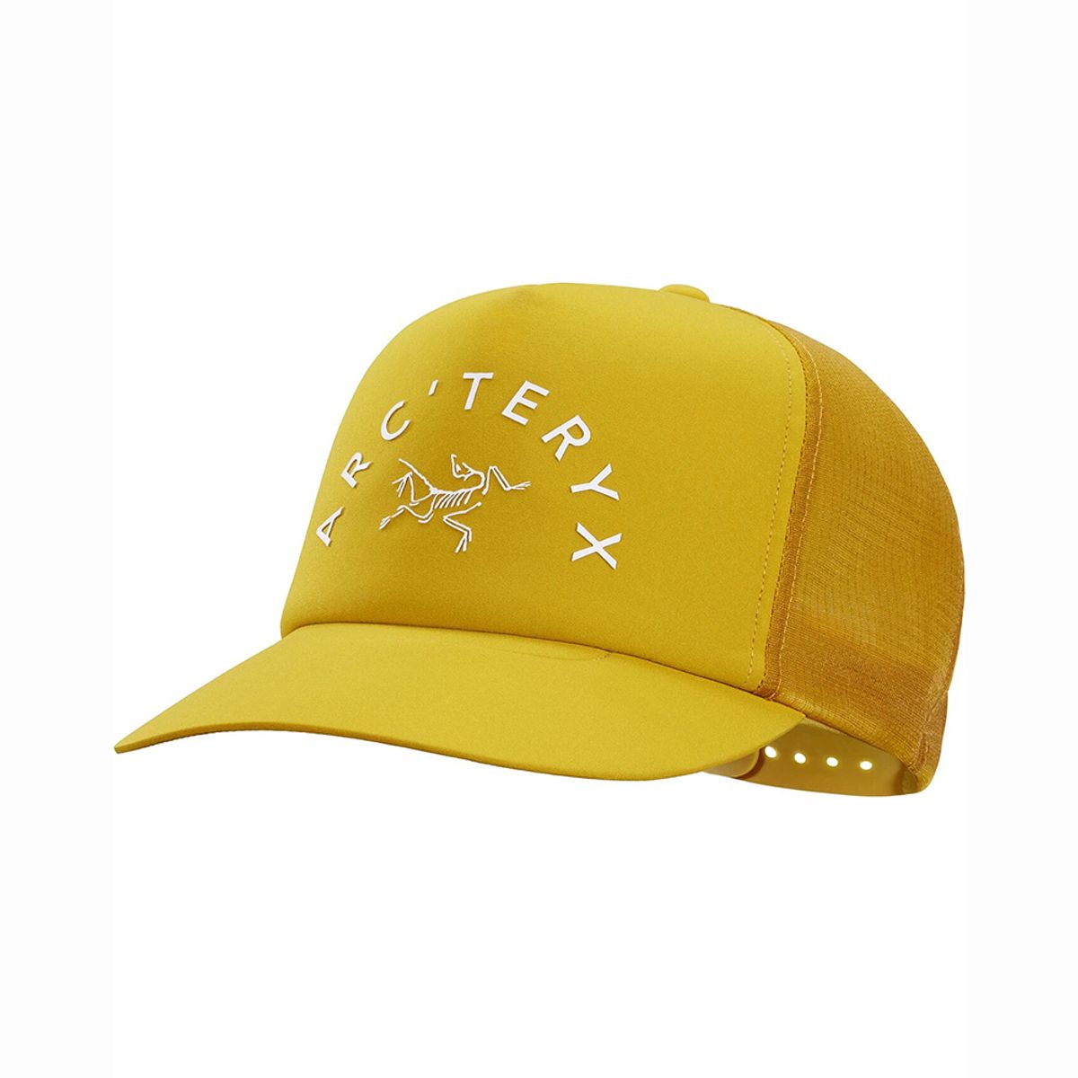 Arch'teryx Trucker Curved