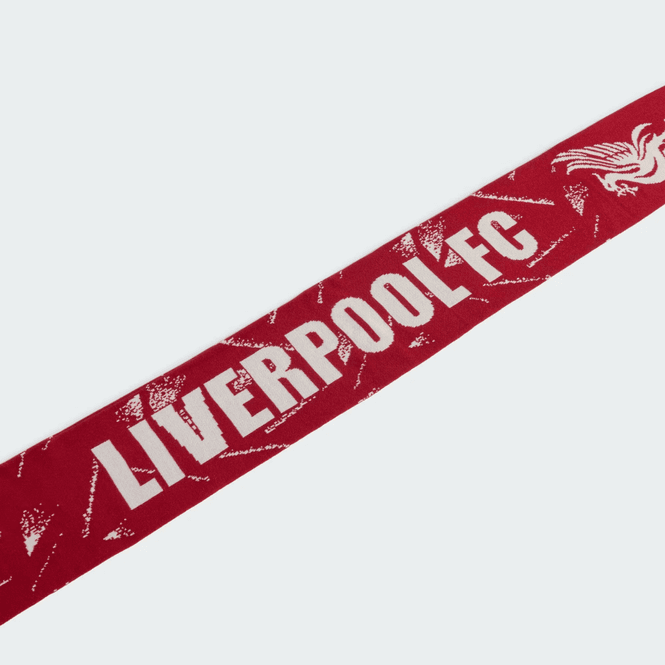 Hovedbilde LFC SCARF
