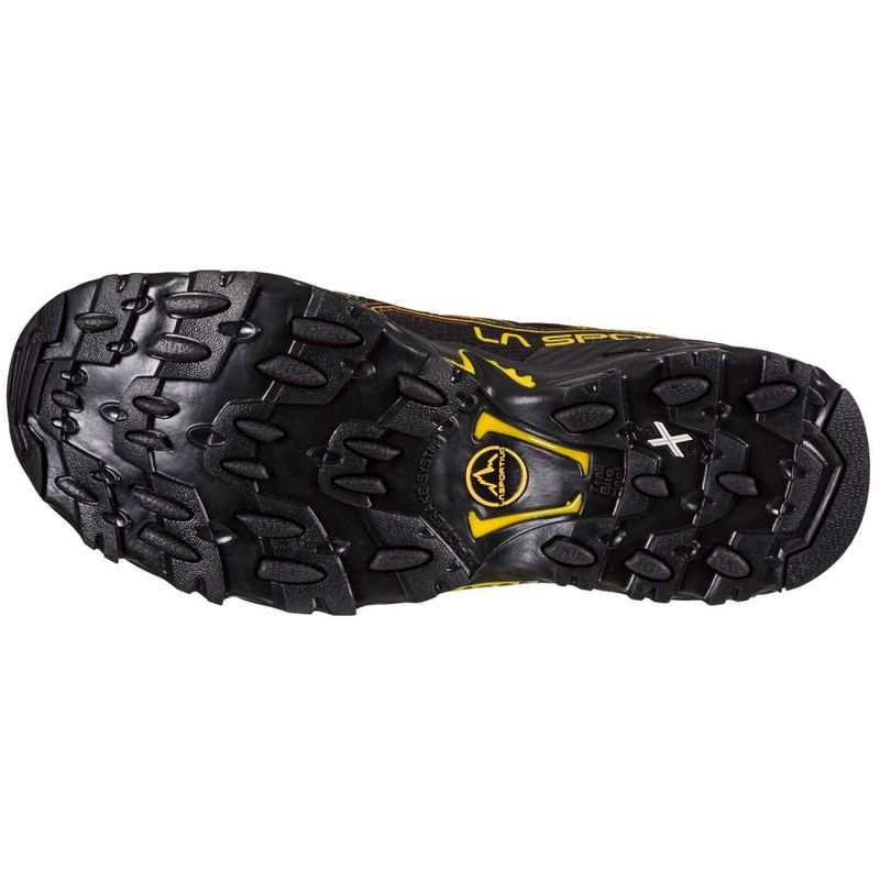 Ultra Raptor II GTX Hikingsko