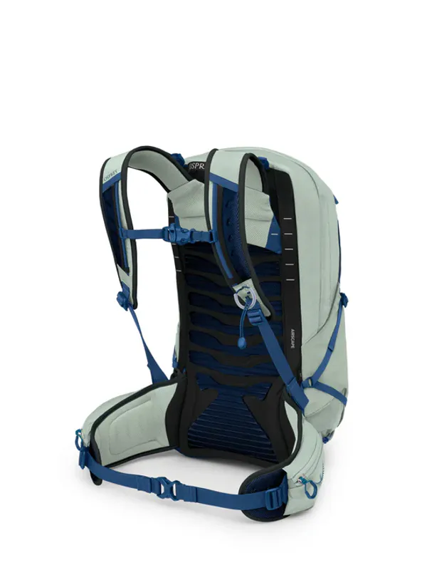 Talon 22