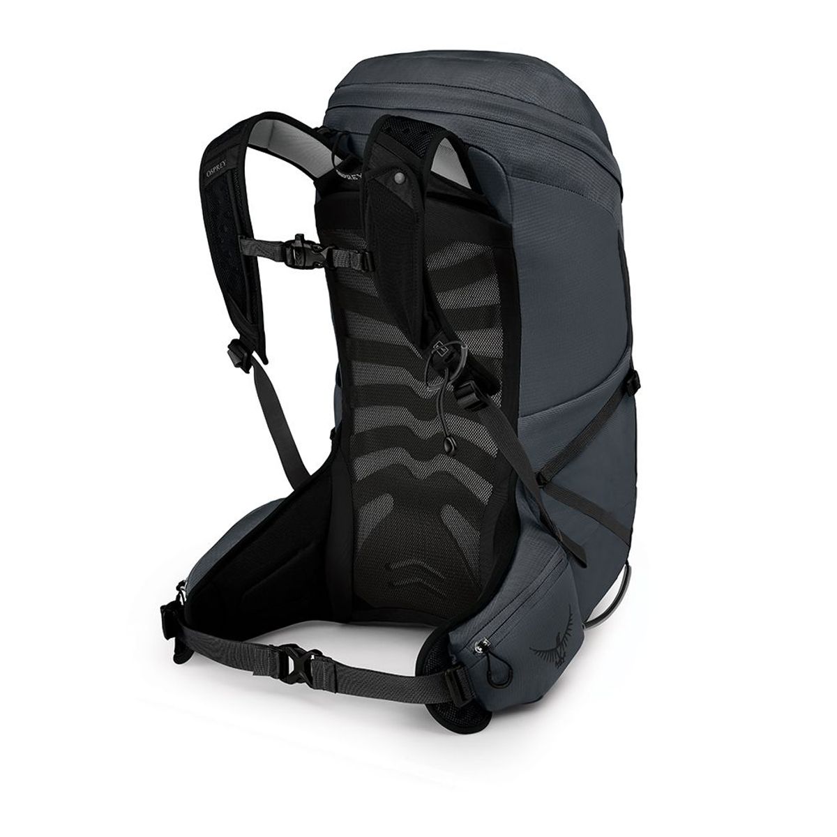 Talon 26
